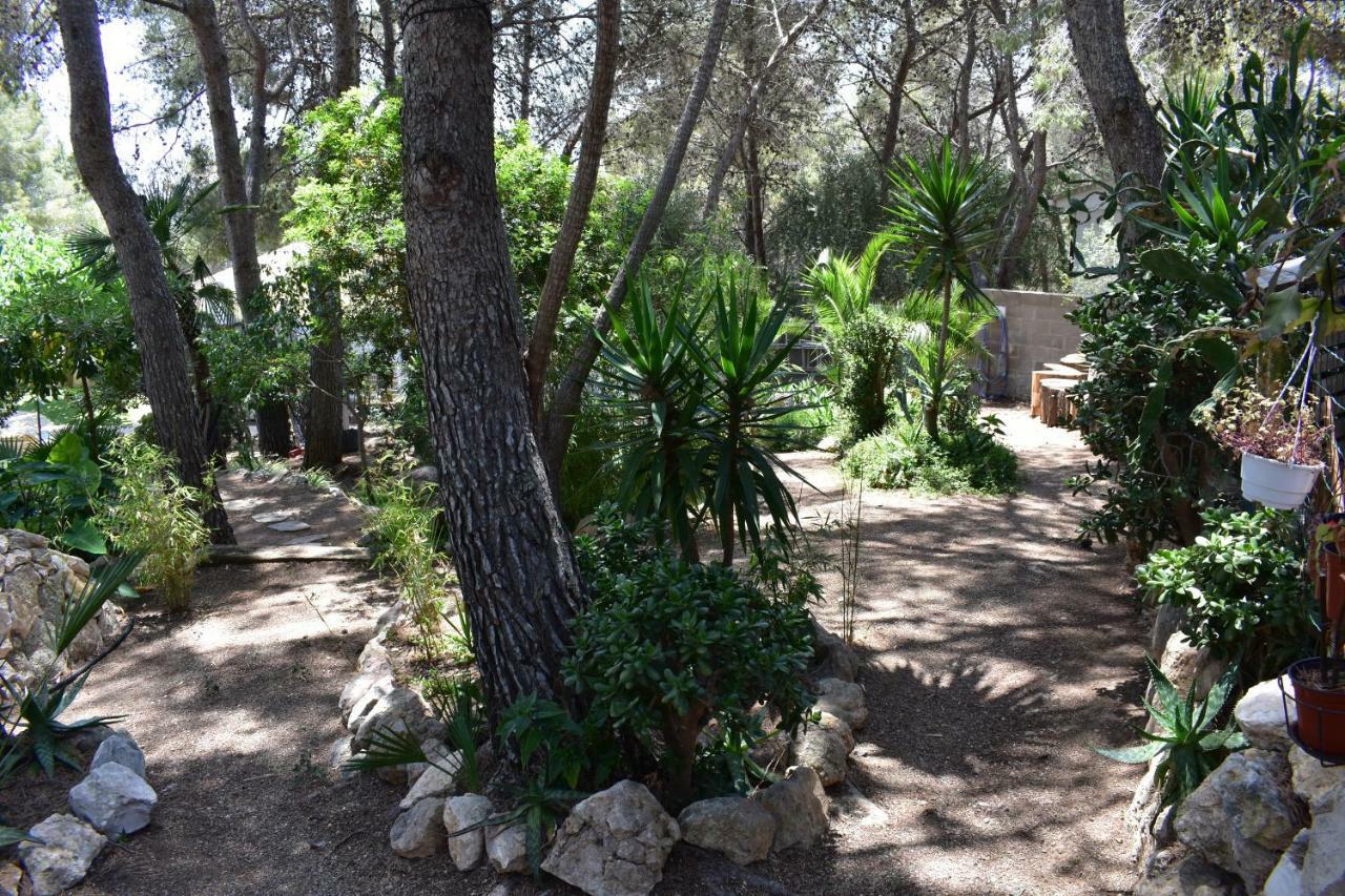 Maison d'hôtes Garden Tarragone