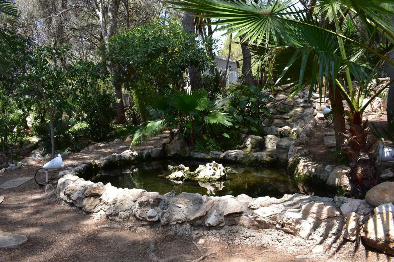 Garden Maison d'hôtes