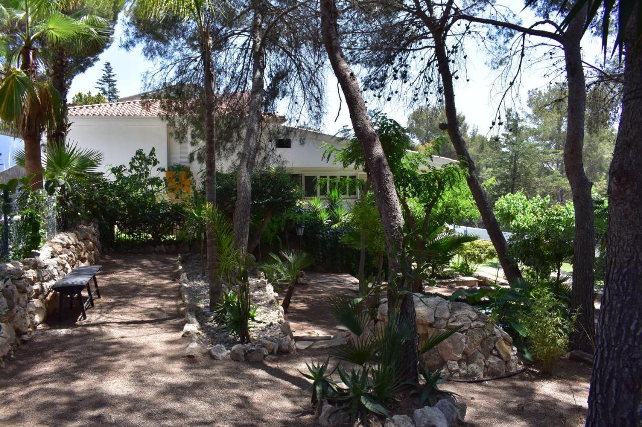 Garden Tarragone