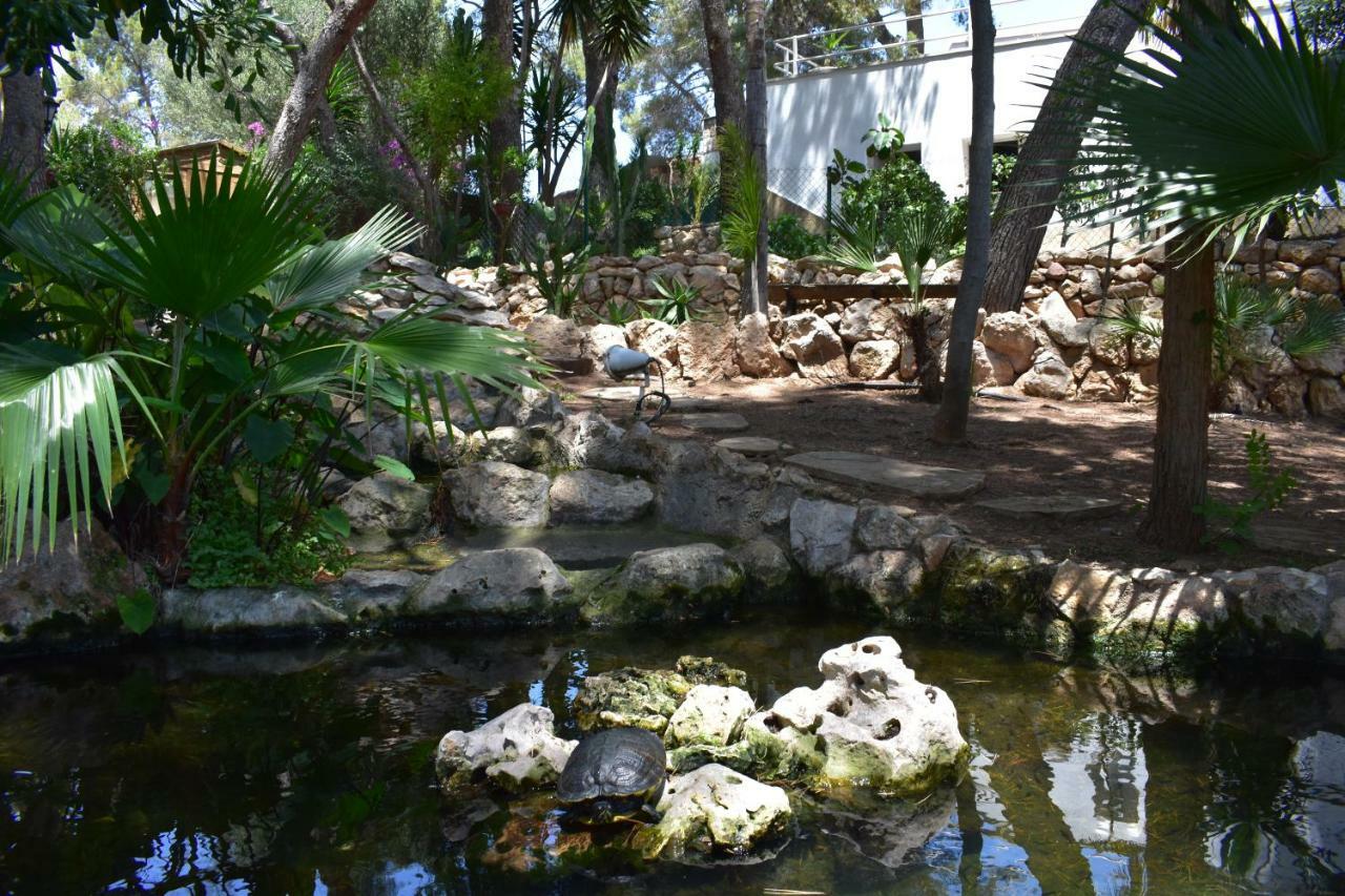 Garden Guest house Tarragona